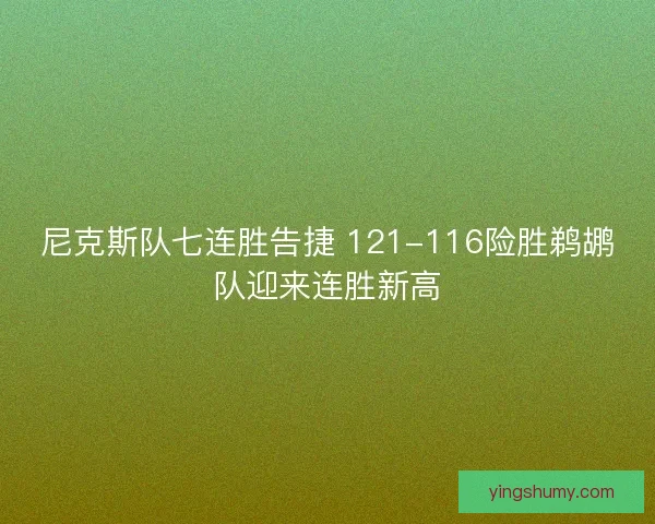尼克斯队七连胜告捷 121-116险胜鹈鹕队迎来连胜新高