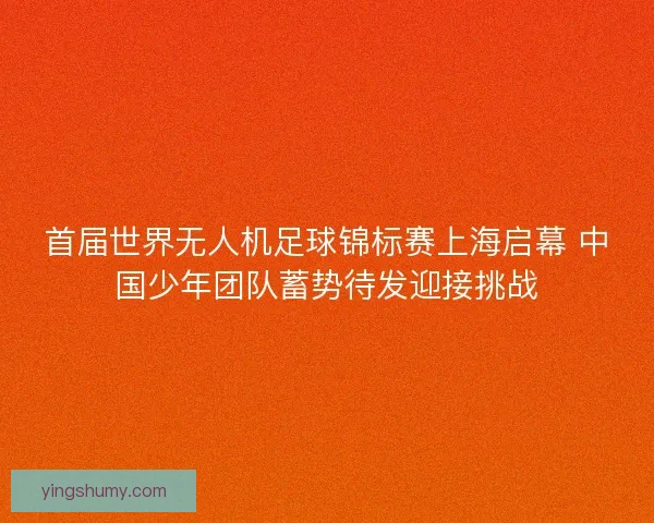 首届世界无人机足球锦标赛上海启幕 中国少年团队蓄势待发迎接挑战 首届世界无人机足球锦标赛上海启幕 中国少年团队蓄势待发迎接挑战
