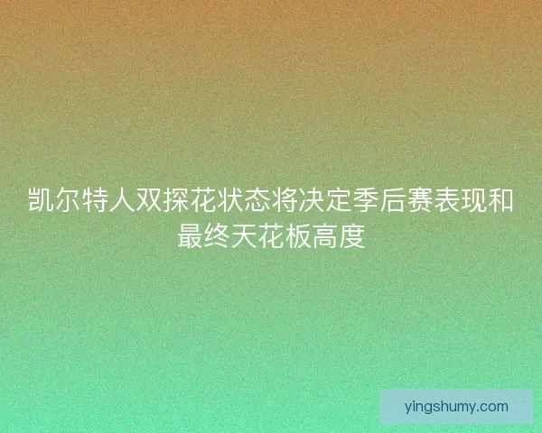 凯尔特人双探花状态将决定季后赛表现和最终天花板高度 凯尔特人双探花状态将决定季后赛表现和最终天花板高度