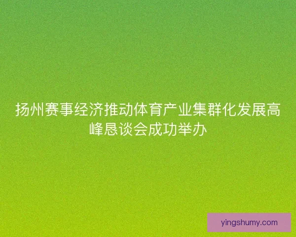 扬州赛事经济推动体育产业集群化发展高峰恳谈会成功举办 扬州赛事经济推动体育产业集群化发展高峰恳谈会成功举办
