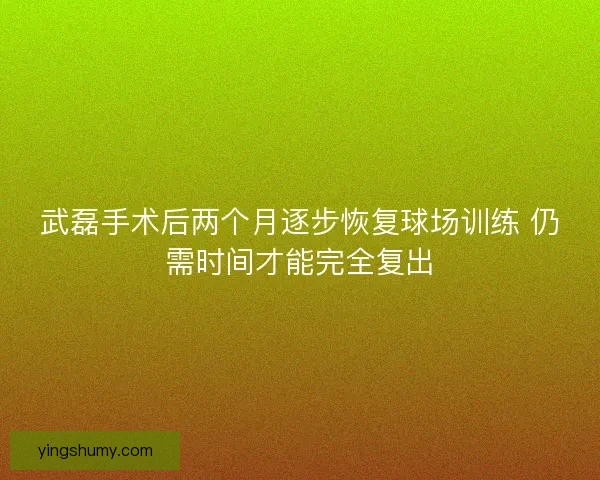 武磊手术后两个月逐步恢复球场训练 仍需时间才能完全复出 武磊手术后两个月逐步恢复球场训练 仍需时间才能完全复出